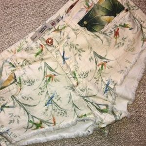 Zara Trafaluc Hummingbird Cut Off Denim Sh…